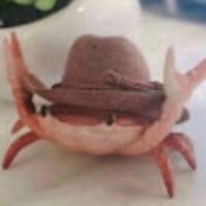 Meet your Posher, Cassidy